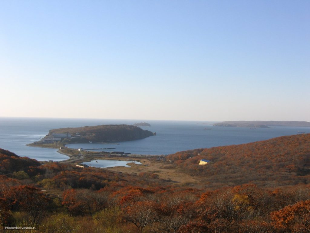 История первых домов на улице Басаргина – Патрокл