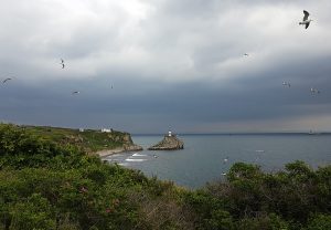 Маяк Басаргина летом