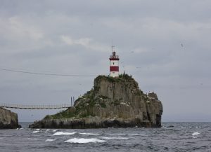 Маяк Басаргина летом