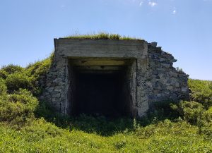 Военная техника острова Аскольд