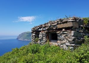 Военная техника острова Аскольд