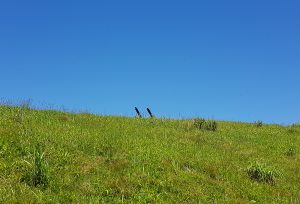 Военная техника острова Аскольд