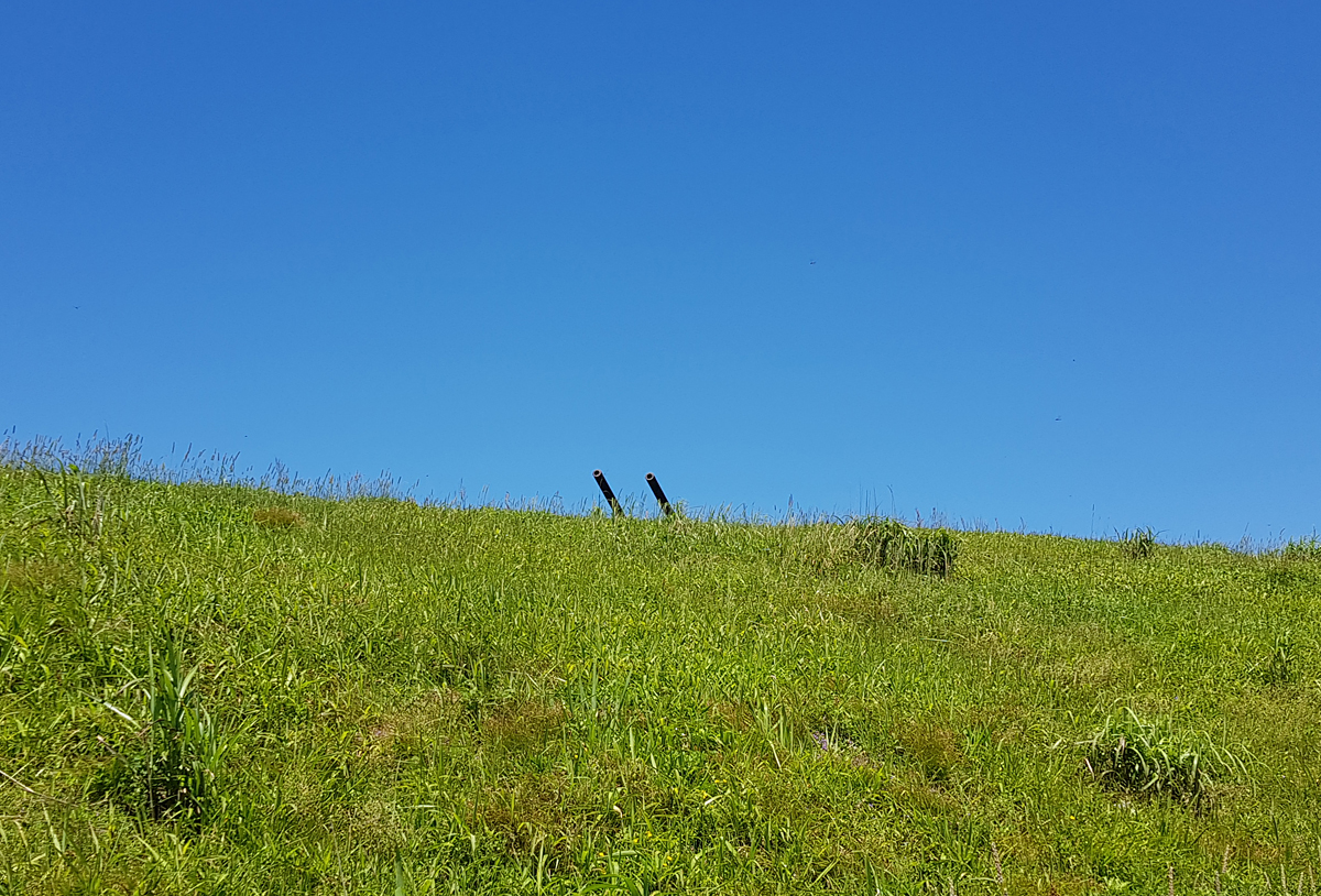 Военная техника острова Аскольд