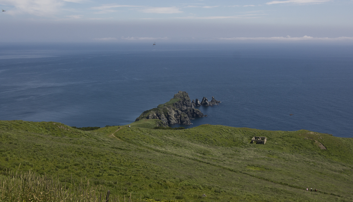 Мыс пальчатый