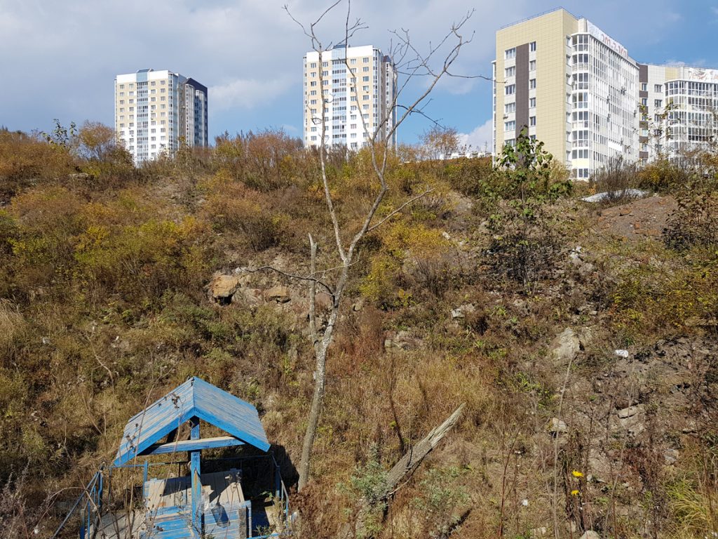 История первых домов на улице Басаргина – Патрокл