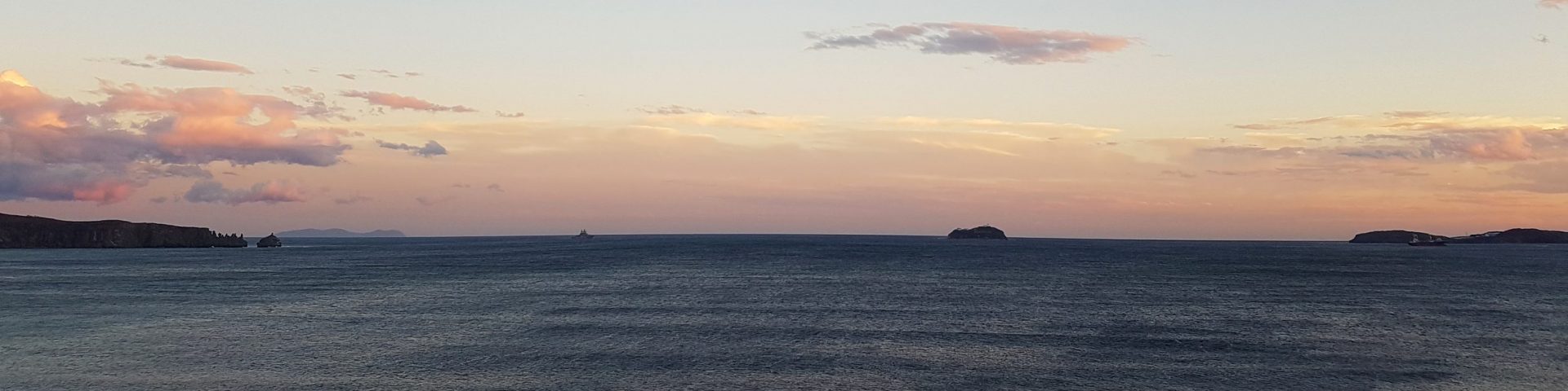 �����-������� ���� �������� ����������� ������� ���������� �������� ����