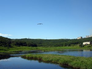 Озеро Патрокл