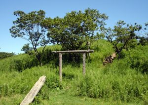 Святилище Перуна на Змеинке