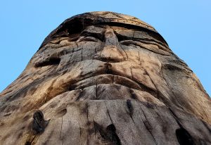 Святилище Перуна на Змеинке