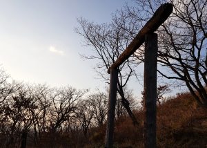 Святилище Перуна на Змеинке