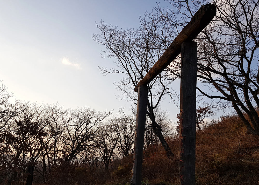 Святилище Перуна на Змеинке