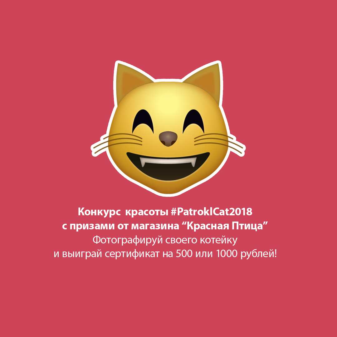 Красный Кот Магазин