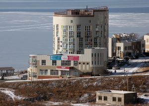 басаргинадом15