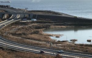 Лесной Забег на Патрокле 17.11.2019