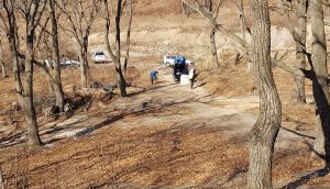 Субботник 09.11.2019