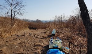 Субботник 09.11.2019