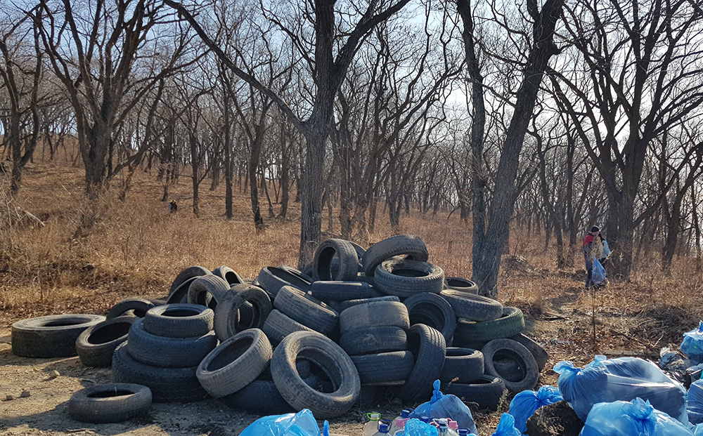 Субботник 09.11.2019