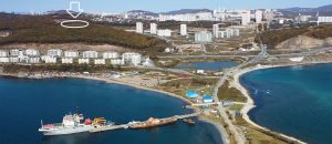 гдевидовая