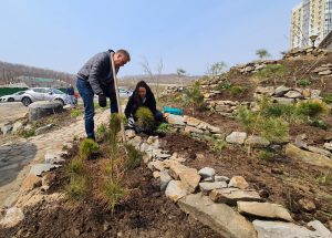 субботник-2021-4