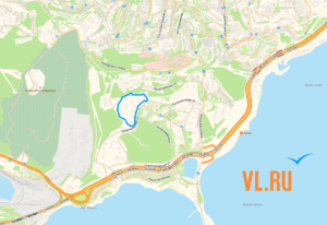 1630492527514_default