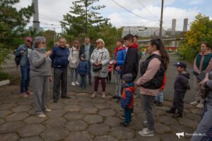 трамвай2651960