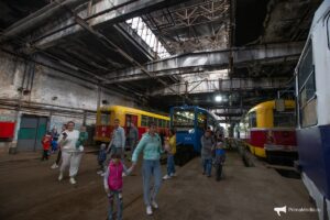 трамвай2651971