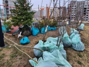 субботник2022-1