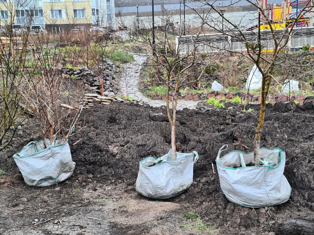 субботник2022-3