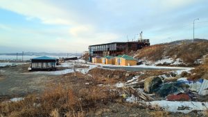 базасоболь1