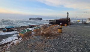 базасоболь4