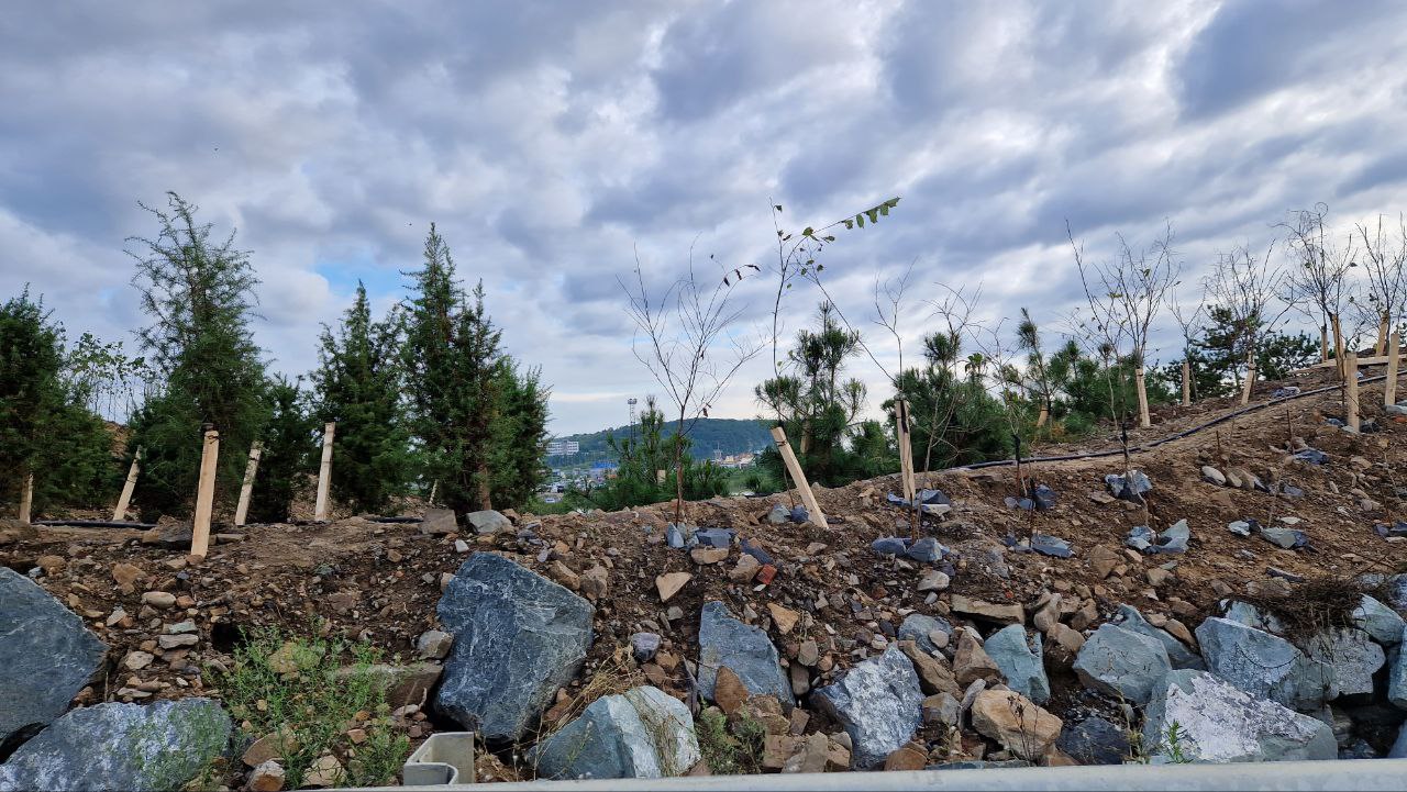 озеленениеозера (1)