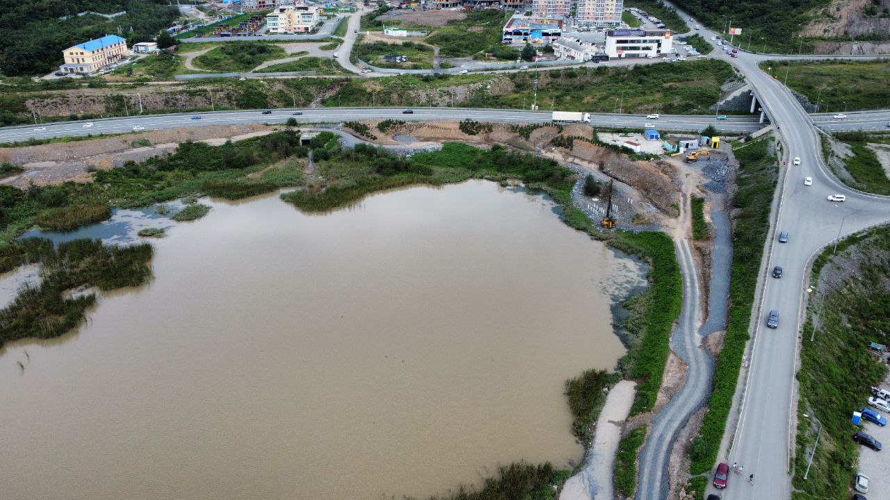 озеленениеозера (2)