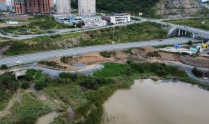 озеленениеозера (3)