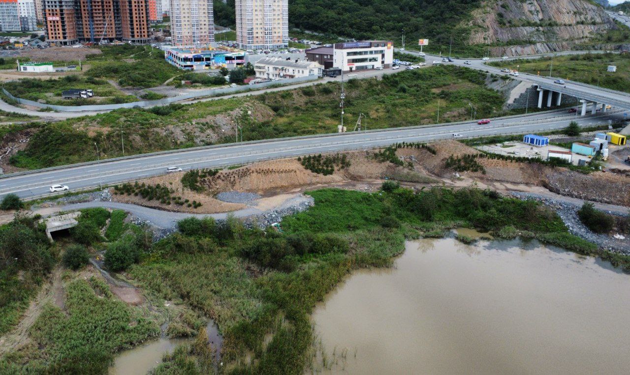 озеленениеозера (3)