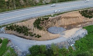 озеленениеозера (4)