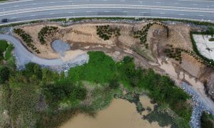 озеленениеозера (6)