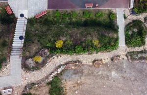 дорожкиесть