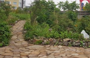 дорожкипоявились