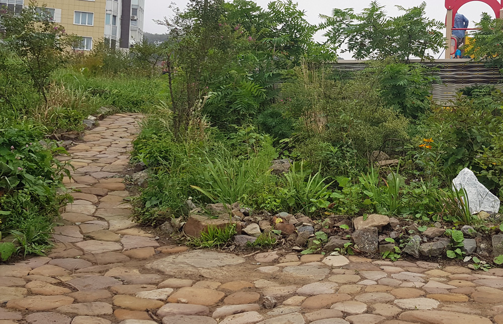 дорожкипоявились