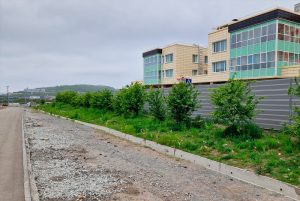 семейнаяаллея2