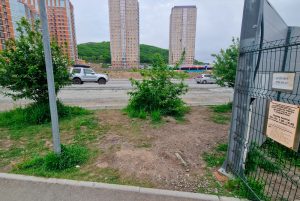 семейнаяаллея7