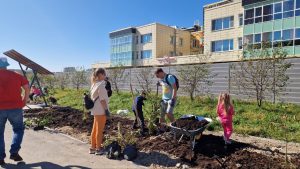 субботника27-2