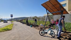 субботника27-3