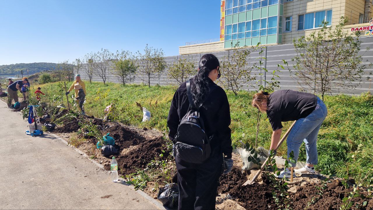 субботника27-4