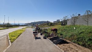 субботника27-5